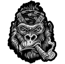 Back Patches - Portfolio