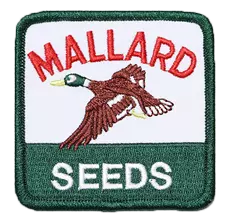 Iron Patches - Portfolio Iron Patches - Portfolio